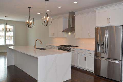 Dogwood/Wesley Place - Lexington cabinet doors with water fall edge island